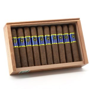 Brisas del Tisey Robusto Extra 布里薩斯德爾蒂西 特級羅伯圖