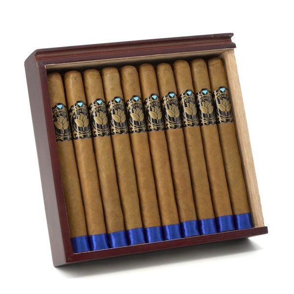 Five B Churchill 5B 丘吉爾