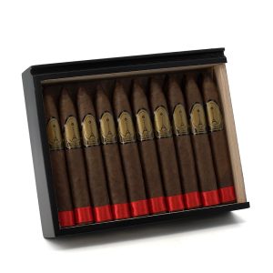 Paris Midnight Torpedo 午夜巴黎 魚雷