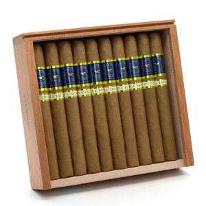 Azul Churchill 蔚藍 丘吉爾