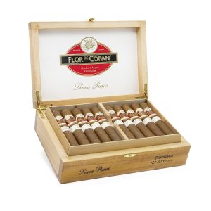 Linea Puros Robusto 普羅羅伯圖