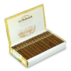 La Fuerza 力量