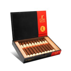 Colección No. 20 Toro No.20 系列 托羅