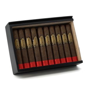 Paris Midnight Robusto 午夜巴黎 羅伯圖