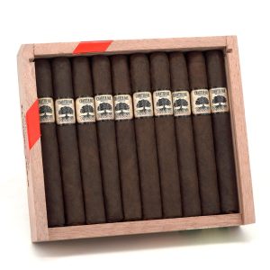 Charter Oak Maduro Petite Corona 憲章橡樹 馬杜羅 小高朗拿