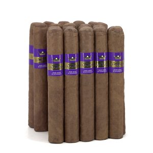 Bundle NIC Robusto NIC系列 羅伯圖