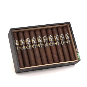 40th Anniversary Robusto 40週年紀念 羅伯圖