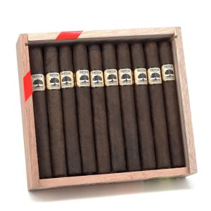Charter Oak Maduro Lonsdale 憲章橡樹 馬杜羅 朗斯代爾