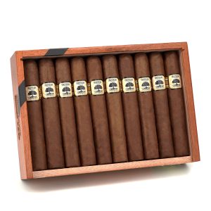 Charter Oak Habano Grande 憲章橡樹 大哈瓦那