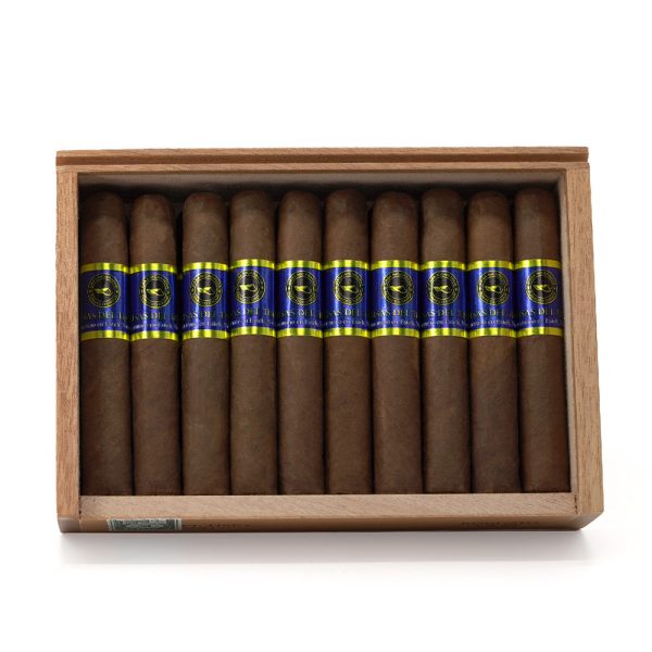 Brisas del Tisey Robusto 布里薩斯德爾蒂西 羅伯圖 - Image 7