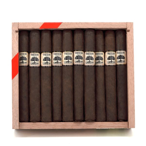 Charter Oak Maduro Petite Corona 憲章橡樹 馬杜羅 小高朗拿 - Image 7