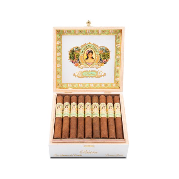 Pasion Corona Gorda 激情 高朗拿 高達 - Image 3