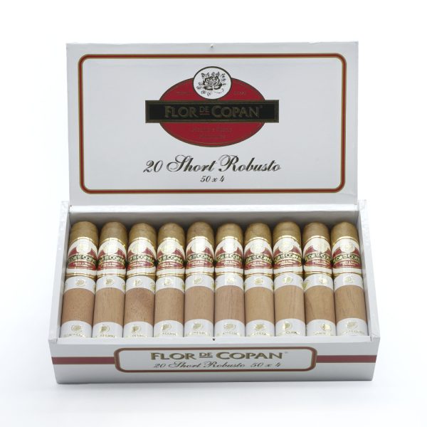 Short Robusto 短羅伯圖 - Image 2
