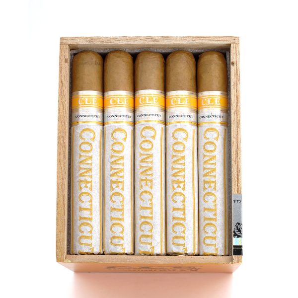 Connecticut Toro Gordo 康涅狄格州 托羅 戈多 - Image 2