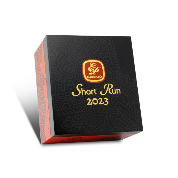 Short Run 2023 Robusto 短跑 2024 羅伯圖 - Image 7