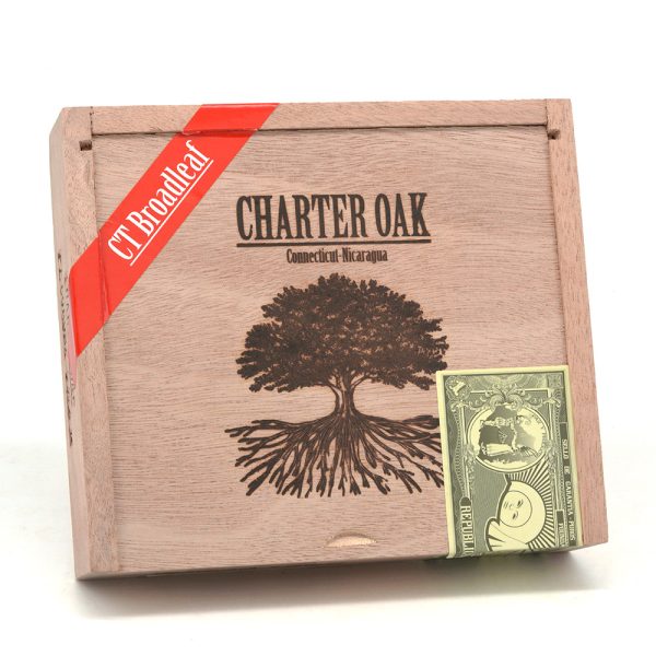 Charter Oak Maduro Petite Corona 憲章橡樹 馬杜羅 小高朗拿 - Image 5