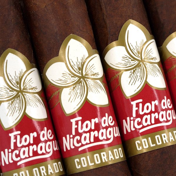 Flor de Nicaragua Colorado Robusto 尼加拉瓜之花科羅拉多羅伯圖 - Image 4