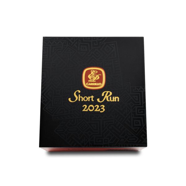 Short Run 2023 Gordo 短跑 2023 戈多 - Image 4