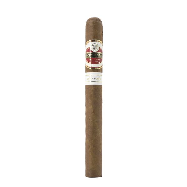 Linea Puros Churchill 普羅丘吉爾 - Image 6