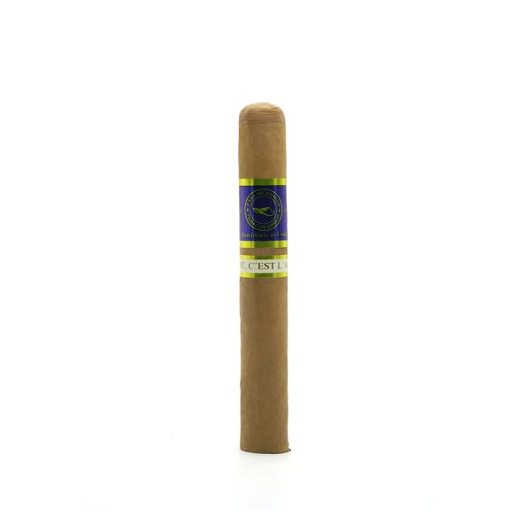 Azul Esplendido 蔚藍 導師 - Image 7