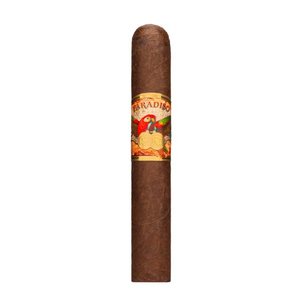 Clasico Robusto 經典 羅伯圖 - Image 7