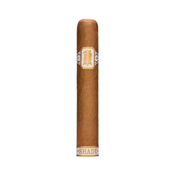 Undercrown Shade Gordito 王冠之下 遮蔭 戈迪托 - Image 4