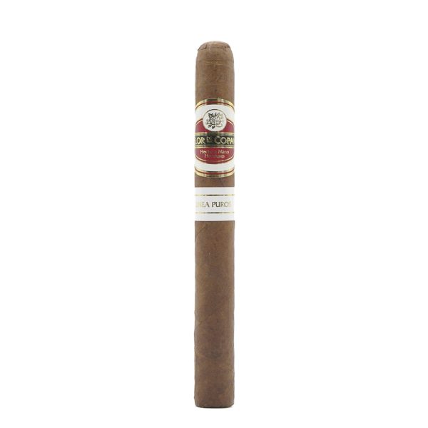 Linea Puros Corona 普羅高朗拿 - Image 7