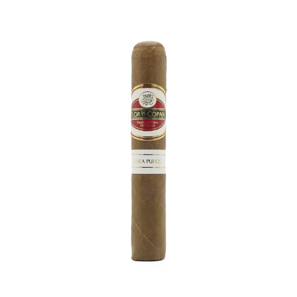 Linea Puros Robusto 普羅羅伯圖 - Image 5