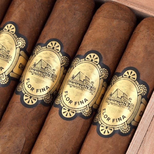 Chinchalle Robusto 欽查爾 羅伯圖 - Image 2