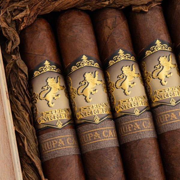 Chupacabra Natural Toro 噬羊者 天然 托羅 - Image 2