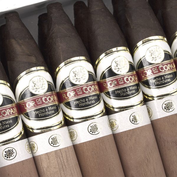 Maduro Belicoso 馬杜羅 比利高 - Image 5