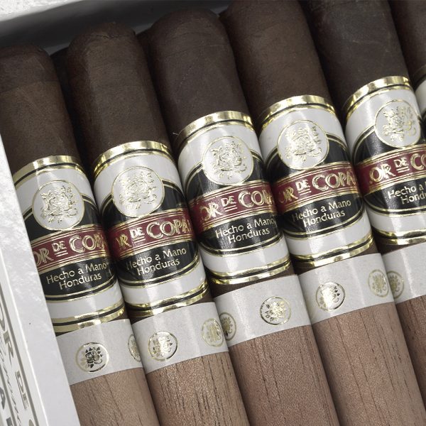 Maduro Corona 馬杜羅 高朗拿 - Image 5