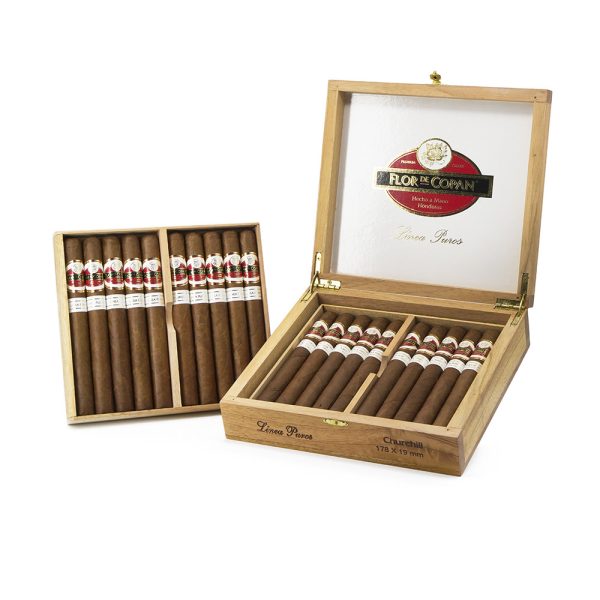 Linea Puros Churchill 普羅丘吉爾 - Image 2
