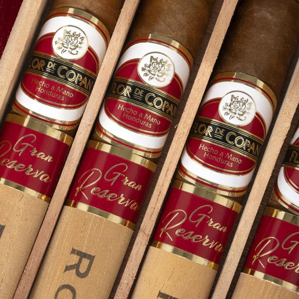 Gran Reserva 20 Aniversario 2023LE 特級珍藏 20週年 2023限量版 - Image 6