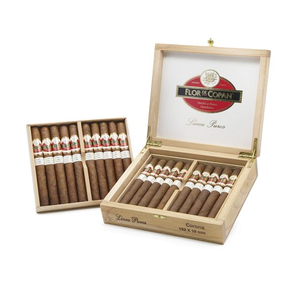 Linea Puros Corona 普羅高朗拿 - Image 6