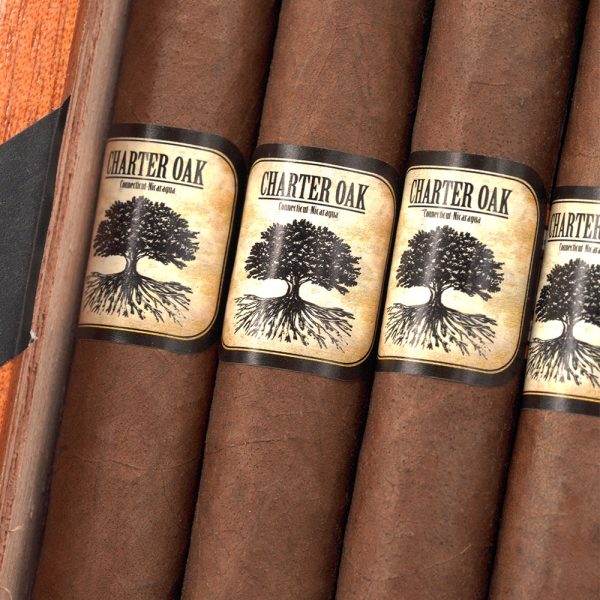 Charter Oak Habano Petite Corona 憲章橡樹 哈瓦那 小高朗拿 - Image 3
