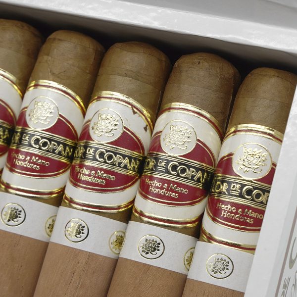Short Robusto 短羅伯圖 - Image 7