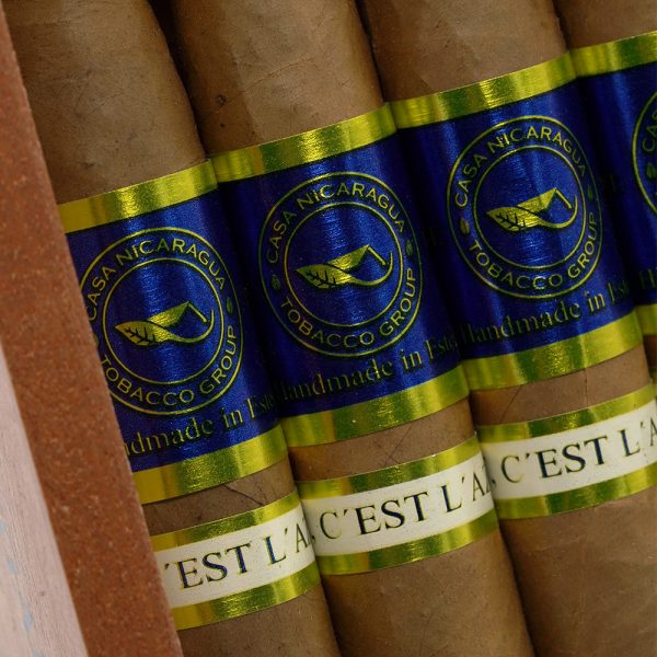 Azul Torpedo 蔚藍 魚雷 - Image 3