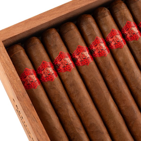 The Devils' Hands Lonsdale 惡魔之手 朗斯代爾 - Image 2
