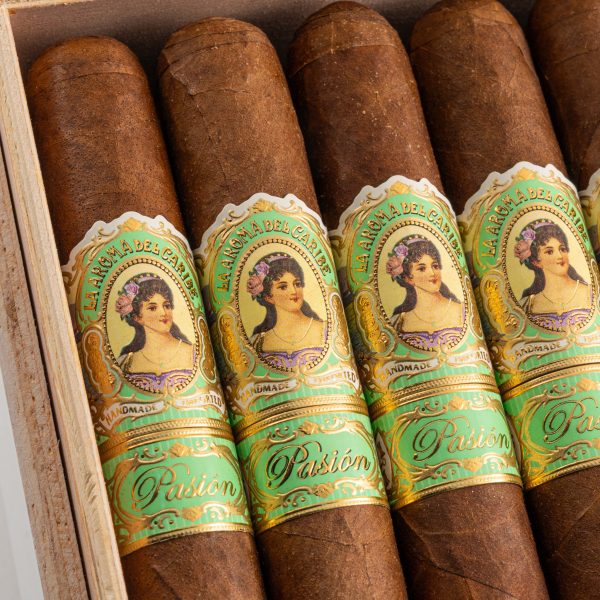 Pasion Robusto 激情 羅伯圖 - Image 2