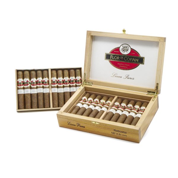 Linea Puros Robusto 普羅羅伯圖 - Image 4