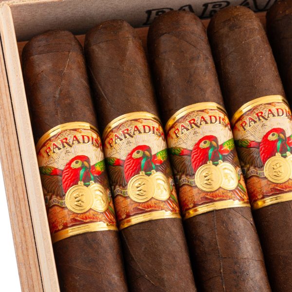 Clasico Robusto 經典 羅伯圖 - Image 3