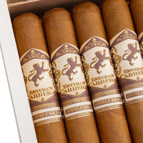 Cashmere Robusto 山羊絨 羅伯圖 - Image 2