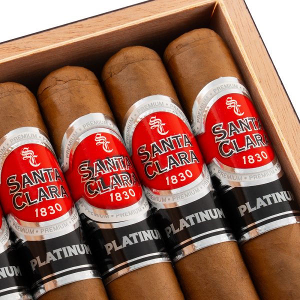 Platinum Connecticut Robusto 鉑金 康涅狄格州 羅伯圖 - Image 2