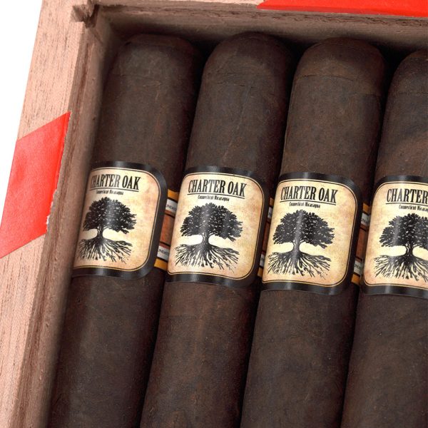 Charter Oak Maduro Rothschild 憲章橡樹 馬杜羅 羅斯柴爾德 - Image 4