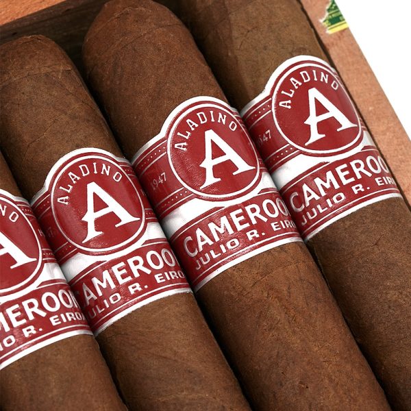 Cameroon Robusto 喀麥隆 羅伯圖 - Image 2
