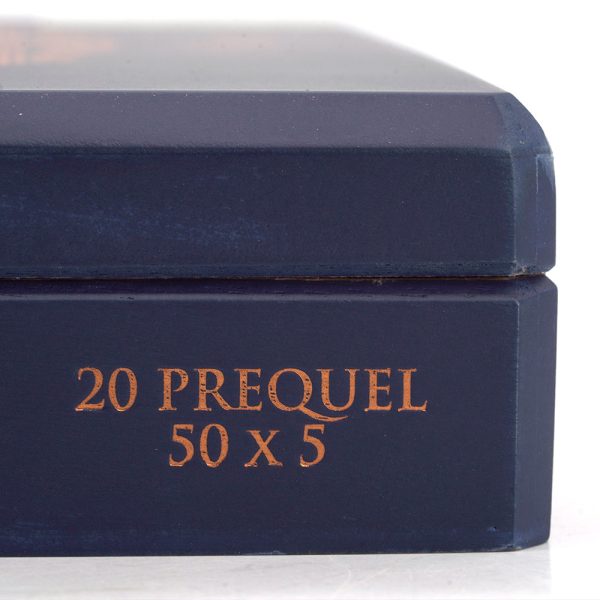 Pledge Prequel 誓言 前傳 - Image 6