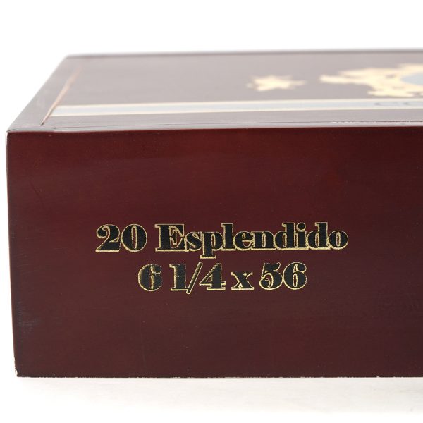 Five B Esplendido 5B 導師 - Image 5