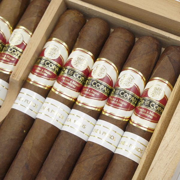 Linea Puros Corona 普羅高朗拿 - Image 5
