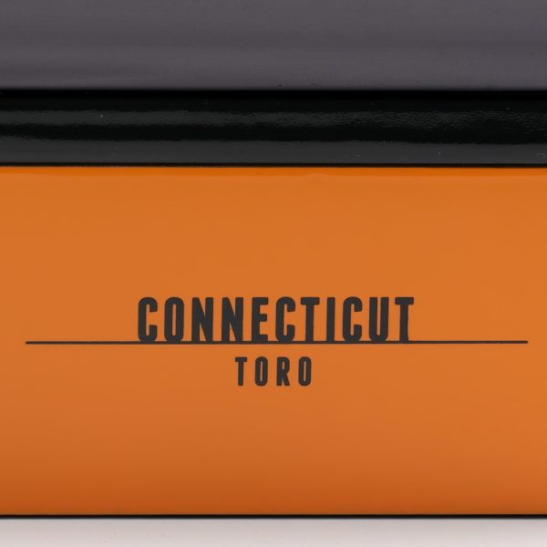 Connecticut Toro 康涅狄格州 托羅 - Image 6